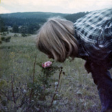 smelling rose