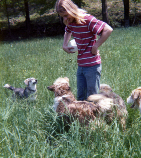 robin and dogs