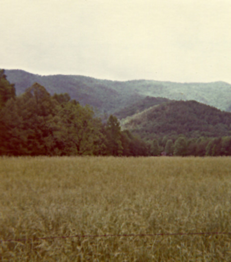 cades cove 2