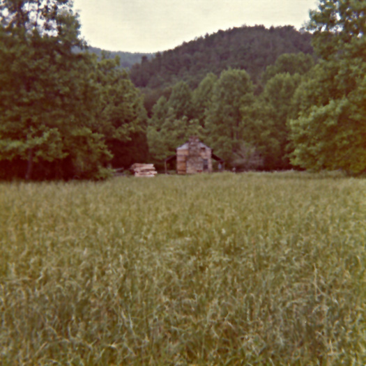 cades cove 5