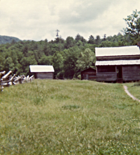 cades cove 6