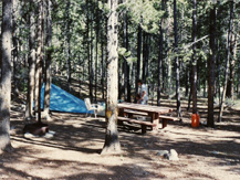 collegiate peaks campground